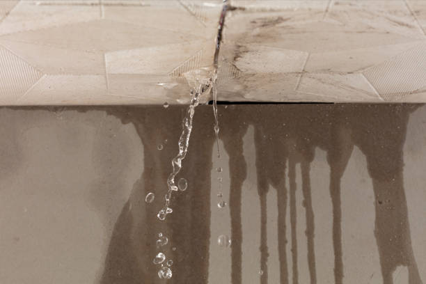 Professional Sewage Cleanup technician working in Washington, NH